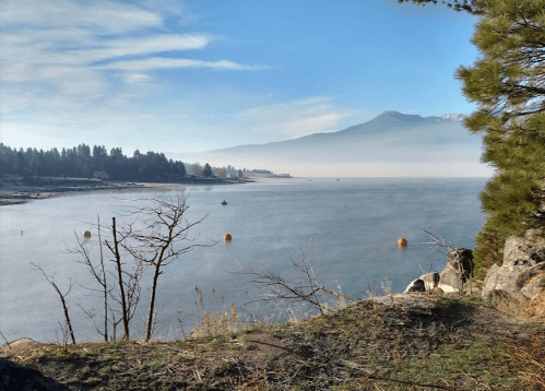 A serene lake view with mountains in the background, surrounded by trees and a clear blue sky.