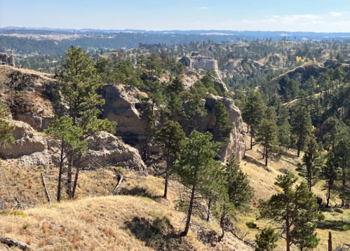 A scenic view of rugged hills and pine trees under a clear blue sky, showcasing a natural landscape.