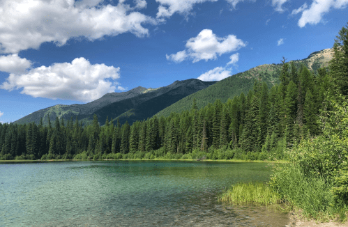A serene lake surrounded by lush green trees and mountains under a blue sky with fluffy white clouds.
