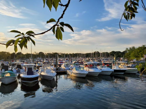 A marina filled with boats at sunset, reflecting on calm water under a blue sky with scattered clouds.