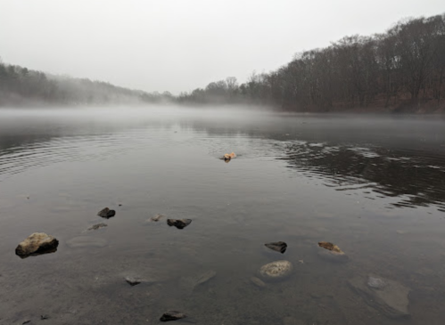 A misty lake scene with calm water, scattered rocks, and fog enveloping the distant trees.