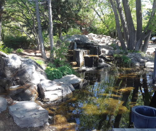 A serene landscape featuring a small waterfall cascading over rocks into a calm pond, surrounded by lush greenery.