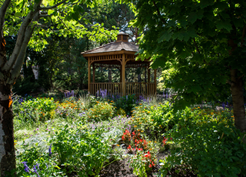 A wooden gazebo surrounded by vibrant flowers and lush greenery in a sunny garden setting.