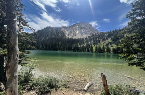 A serene lake surrounded by tall trees and mountains under a bright blue sky with scattered clouds.