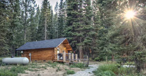A rustic wooden cabin surrounded by tall trees, with sunlight filtering through the branches.