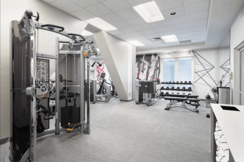 Modern gym interior featuring weight machines, free weights, and a spacious workout area. Bright and well-lit environment.
