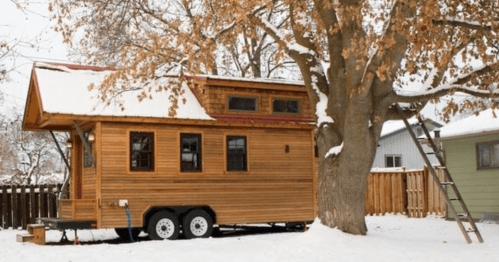 A cozy wooden tiny house on wheels, surrounded by snow and a large tree, with a ladder leaning against the tree.