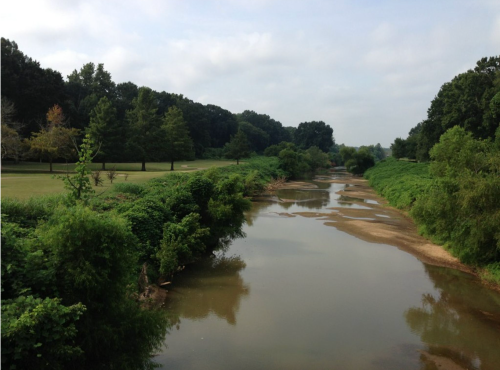 A serene river flows through lush greenery, with trees lining the banks under a cloudy sky.