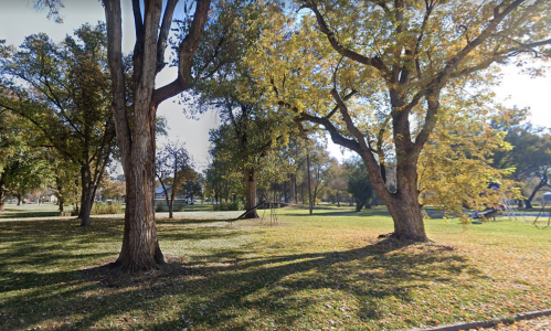 A sunny park scene with tall trees and green grass, casting shadows on the ground.