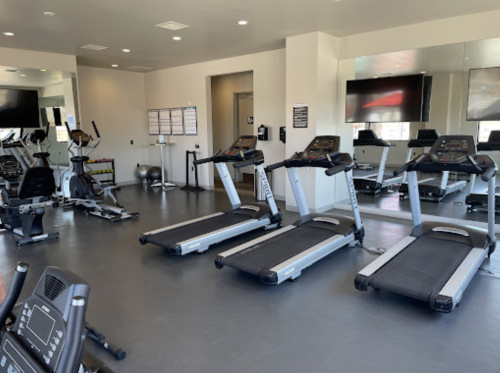 A modern gym interior featuring several treadmills, exercise bikes, and large mirrors.