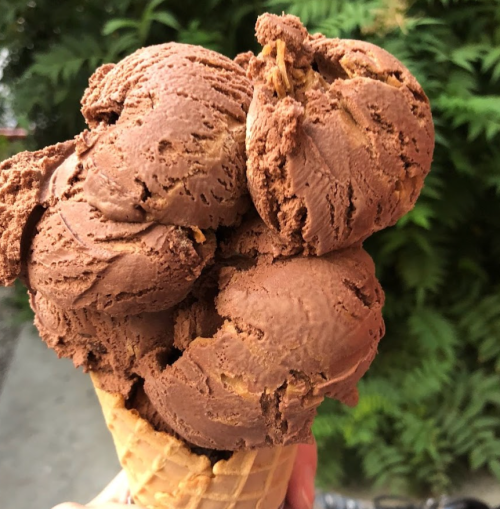 A hand holding a cone filled with three scoops of rich chocolate ice cream against a green leafy background.