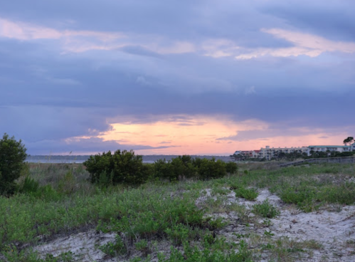 A serene beach scene at sunset, with soft clouds and a hint of pink in the sky, framed by greenery and distant buildings.