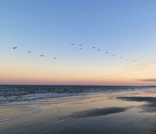 A serene beach at sunset with a flock of birds flying in a V formation over the calm ocean waves.