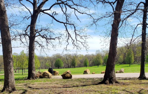 A serene park scene with bare trees, green grass, and large rocks under a blue sky with scattered clouds.