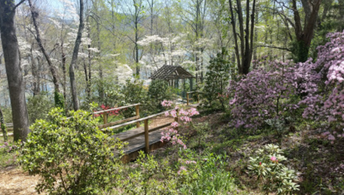 A serene garden scene with blooming flowers, a wooden path, and a gazebo surrounded by trees and a lake in the background.