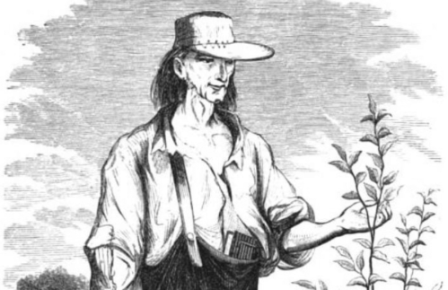 An illustration of a farmer in a hat, standing beside a young plant, with a rustic background.