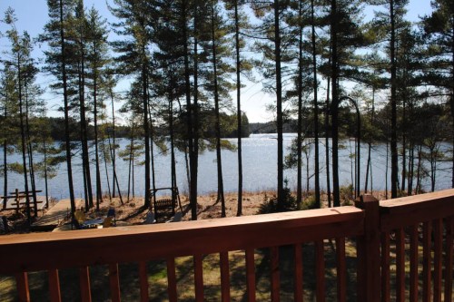 A serene lake view framed by tall pine trees, with a wooden railing in the foreground and sunlight reflecting on the water.