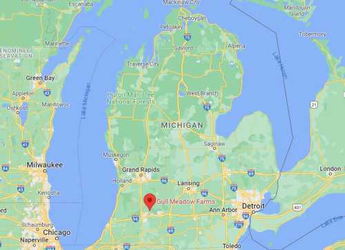 Map of Michigan highlighting Gull Meadow Farms, located south of Grand Rapids and near Kalamazoo.