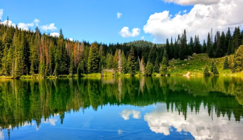 A serene lake surrounded by lush green trees, reflecting the blue sky and fluffy clouds above.