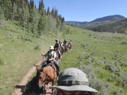 A group of people riding horses along a grassy trail in a mountainous landscape under a clear blue sky.