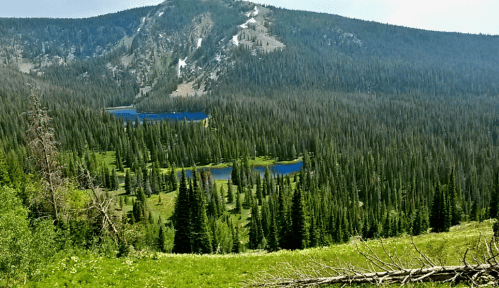 A scenic view of lush green valleys and blue lakes surrounded by dense forests and mountains in the background.