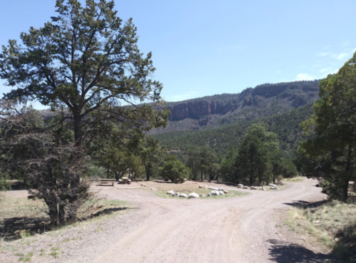 A dirt road forks in a mountainous landscape, surrounded by trees and rocky terrain under a clear blue sky.