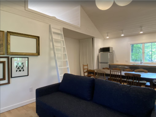 Cozy interior featuring a dark sofa, dining area, kitchen, and a loft accessed by a white ladder. Bright and inviting space.