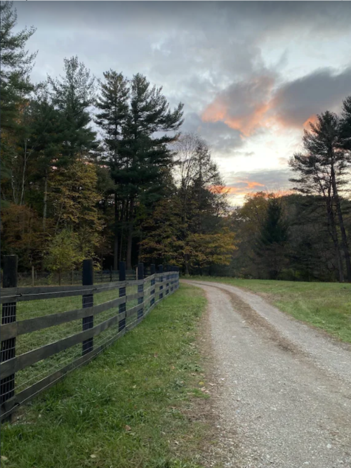 A gravel path winds through a forested area at sunset, with trees displaying autumn colors and a wooden fence along the side.