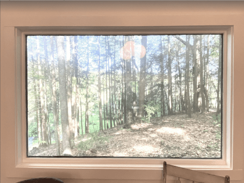 A view through a large window showing a forest with tall trees and sunlight filtering through the leaves.