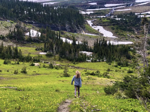 A person walks along a trail in a lush green landscape with mountains and snow in the background.