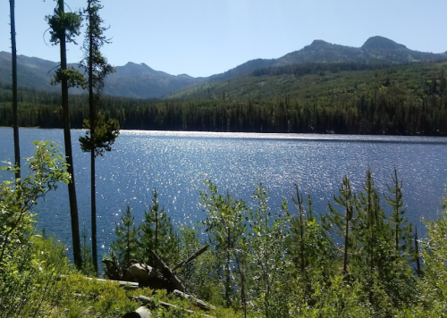 A serene lake surrounded by lush greenery and mountains under a clear blue sky. Sunlight sparkles on the water's surface.