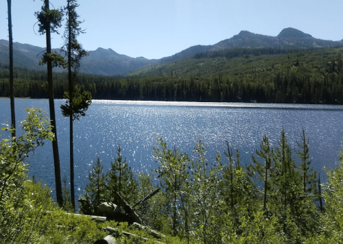 A serene lake surrounded by lush greenery and mountains under a clear blue sky. Sunlight sparkles on the water's surface.