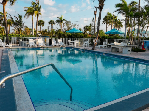 A clear swimming pool surrounded by palm trees, lounge chairs, and umbrellas under a blue sky.