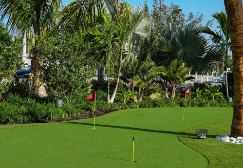 A mini-golf putting green surrounded by lush palm trees and greenery, with small flags marking the holes.