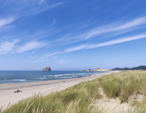 A serene beach scene with gentle waves, sandy shore, grassy dunes, and a clear blue sky with wispy clouds.