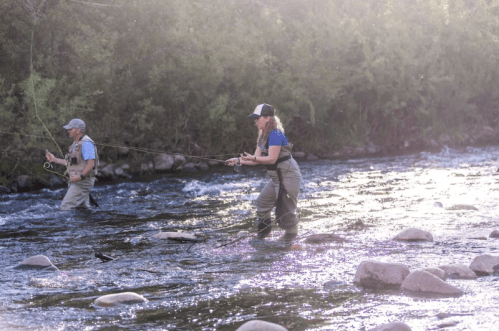 Two people fly fishing in a river, surrounded by greenery and sunlight reflecting off the water.