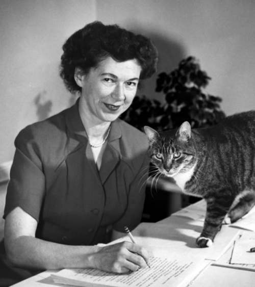 A woman in a vintage dress writes at a desk, with a tabby cat curiously approaching her.