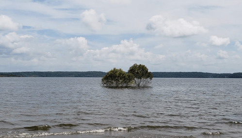 A small island with two trees surrounded by calm water under a cloudy sky.