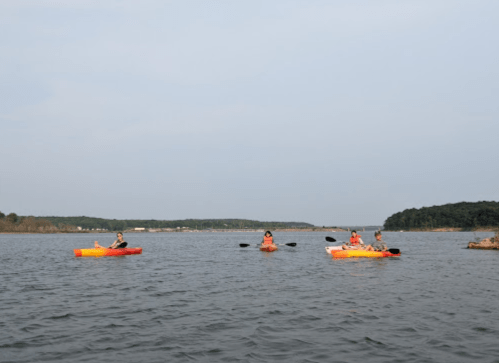 Four people kayaking on a calm lake, surrounded by trees and a clear sky.