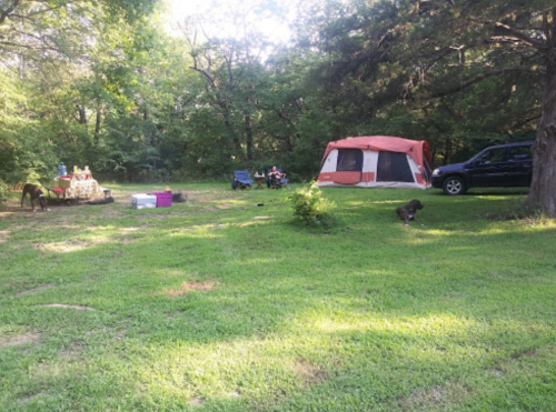 A campsite with a tent, picnic setup, and a dog on green grass surrounded by trees.