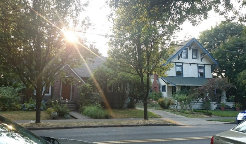 Two houses with trees in front, sunlight shining through, on a quiet street.