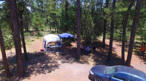 A campsite with tents and a group of people gathered under trees, with a car parked nearby.