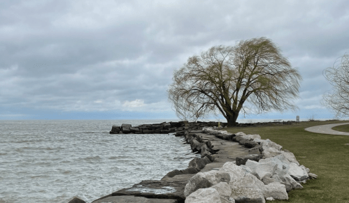 A rocky shoreline leads to a lone tree by the water under a cloudy sky.