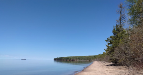 A serene beach scene with calm water, a clear blue sky, and trees lining the shore.