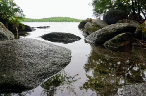 A tranquil lakeside scene with smooth rocks and calm water reflecting greenery in the background.