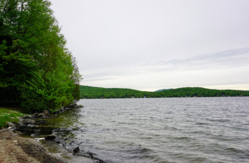 A serene lakeside view with green trees lining the shore and gentle waves under a cloudy sky.