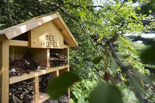 A wooden bee hotel nestled among greenery, designed to provide shelter for solitary bees.