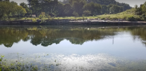 A serene river scene with trees and rocks reflected in calm water, surrounded by lush greenery.