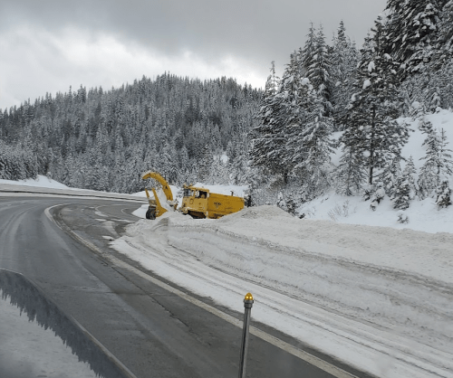A yellow snowplow clears a snowy road surrounded by tall evergreen trees and a cloudy sky.