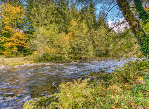 A serene river flows through a lush forest with vibrant autumn foliage and rocky banks.